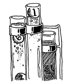 The piping and mixtures of the
lotteries.